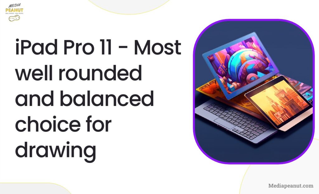 5 iPad Pro 11 Most well rounded and balanced choice for drawing