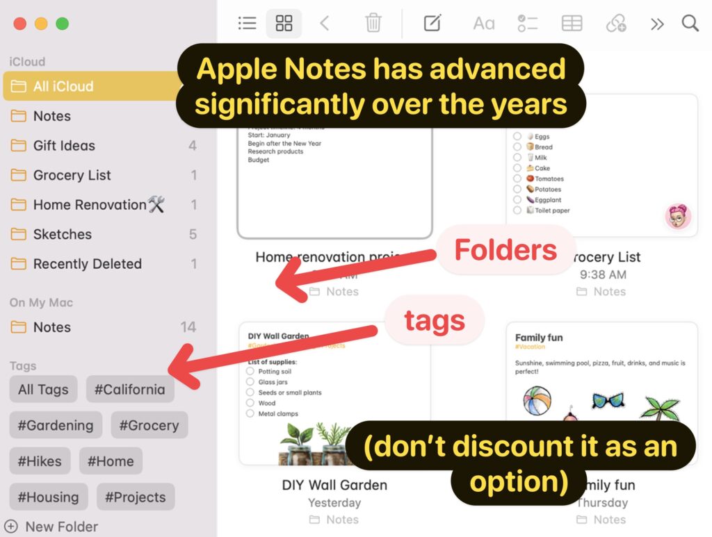 Apple Notes on iPad example 2