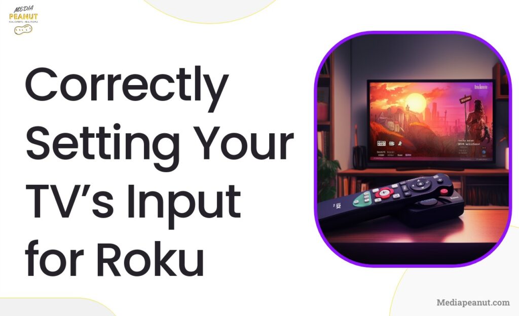 Correctly Setting Your TVs Input for Roku