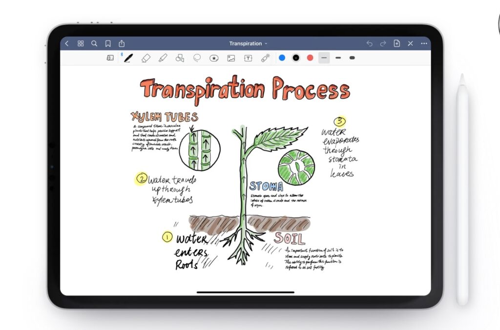 Example of GoodNotes app