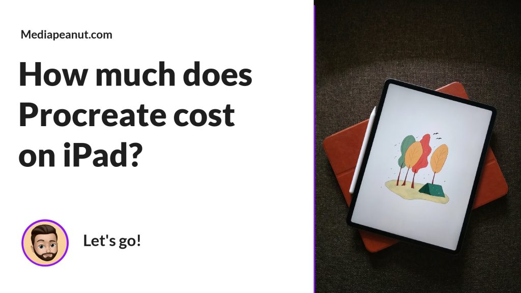 How much does Procreate cost on iPad 2