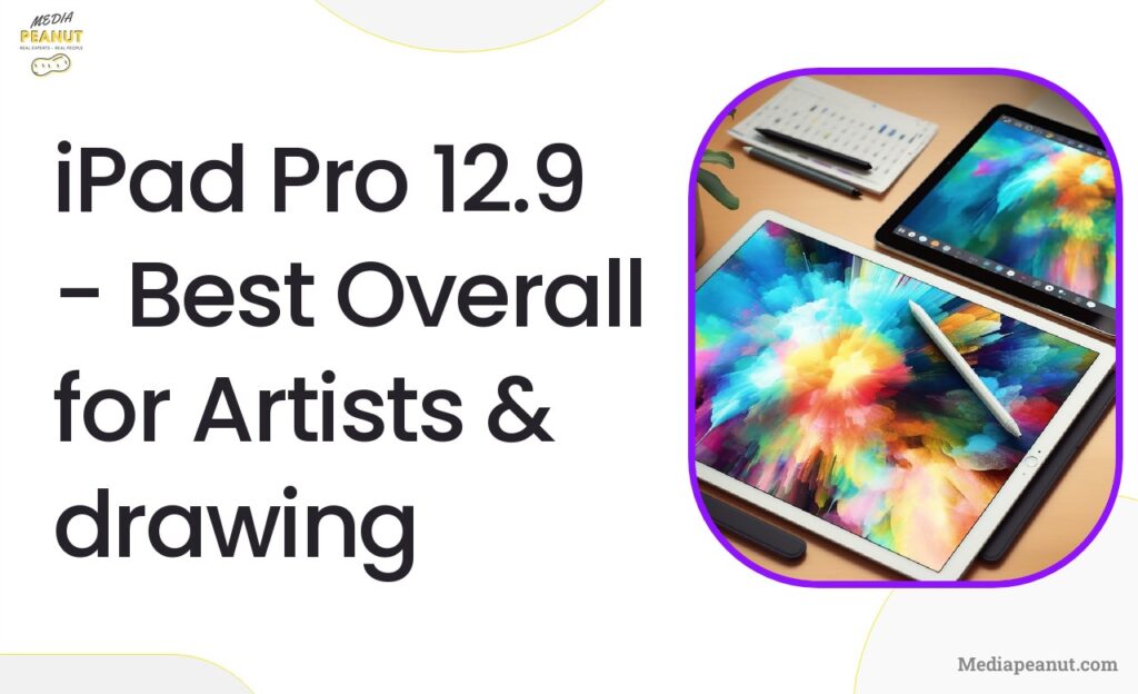 iPad Pro 12.9 Best Overall for Artists drawing