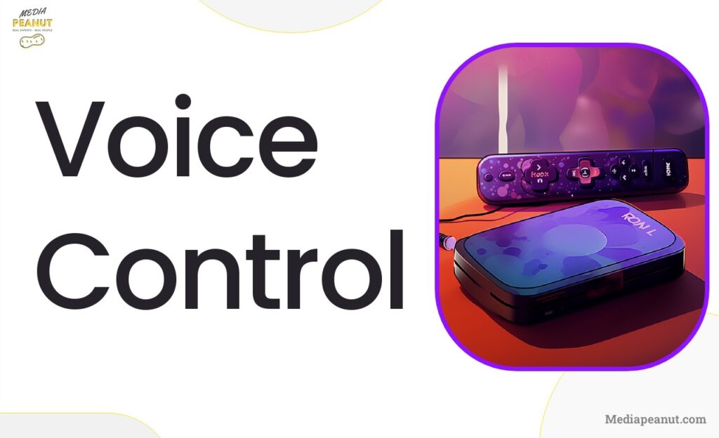 Voice Control