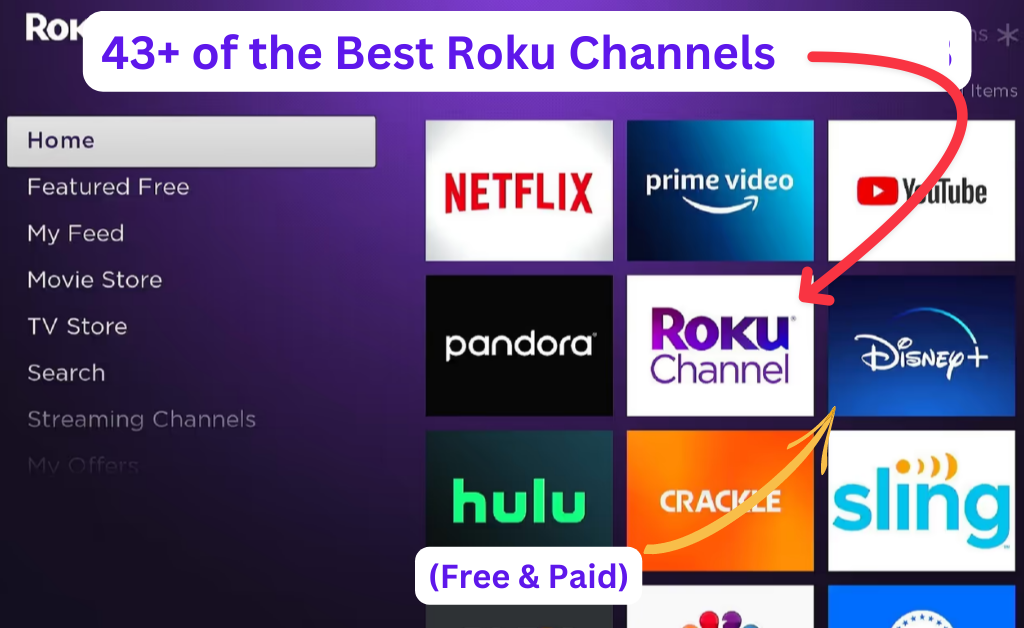 43+ Best Roku Channels (Free & Paid)