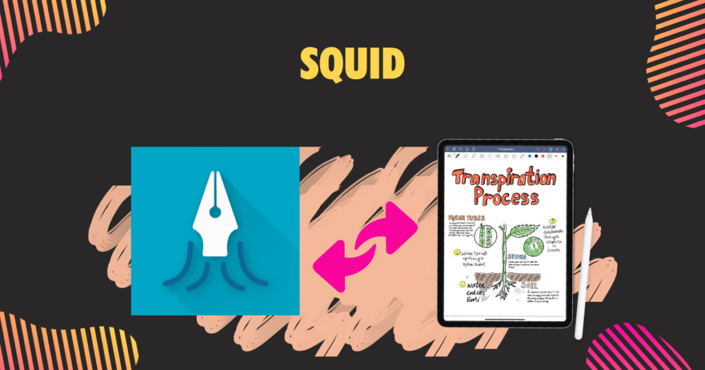 Squid 1