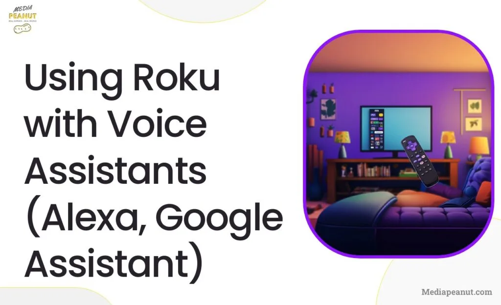 17 Using Roku with Voice Assistants Alexa Google Assistant