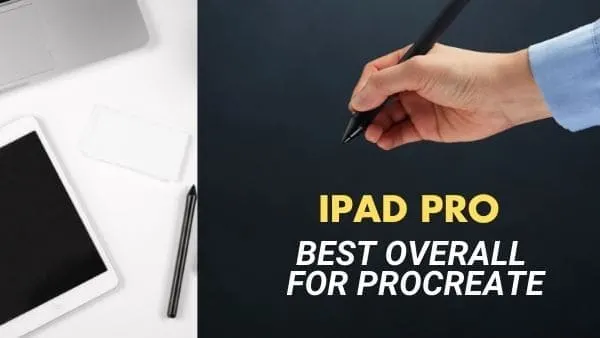 iPad Pro Overall Best iPad for Procreate (digital artwork)