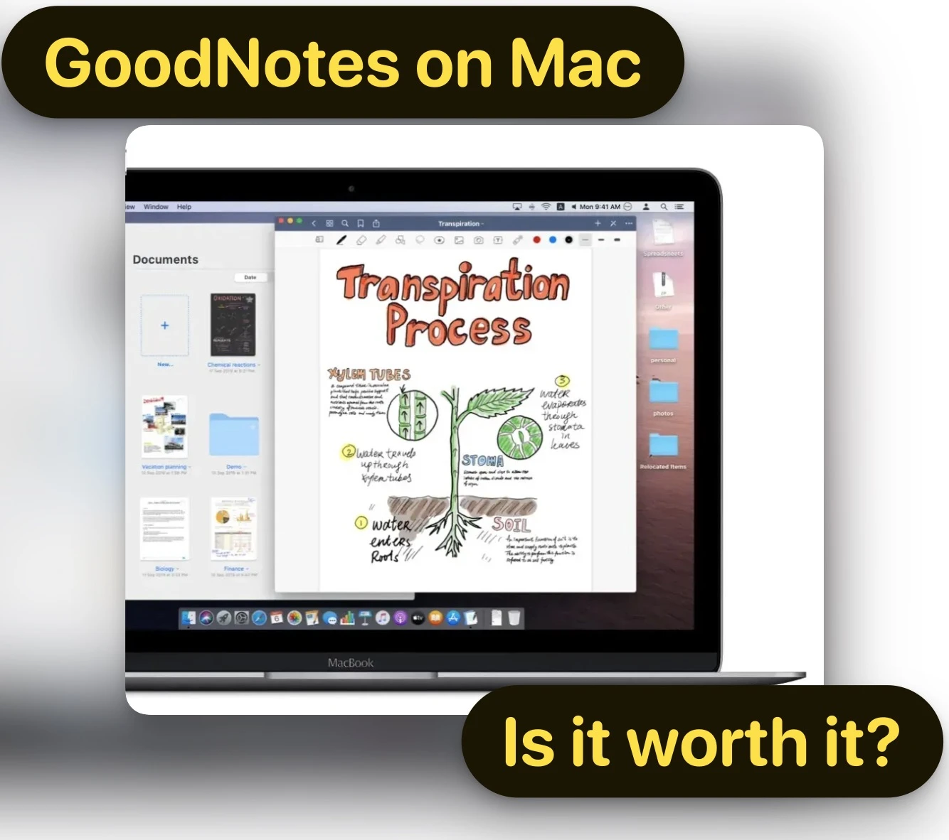 IS goodnotes on mac good or worth it