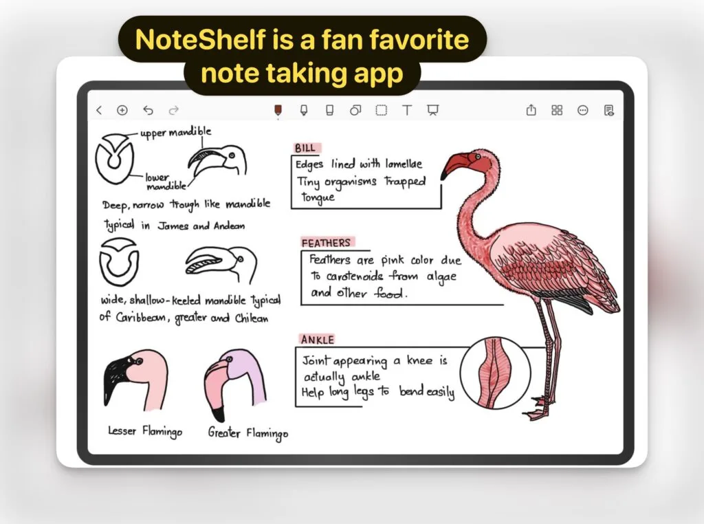 NoteShelf is a fan favorite note taking app for android