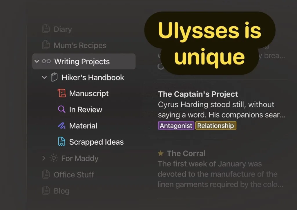 Ulysses is unique